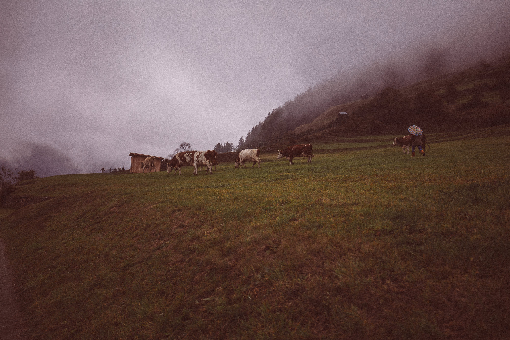 Export x3 5D4 0227 Fotoshooting 2018 Annette & Mike Nauders 4